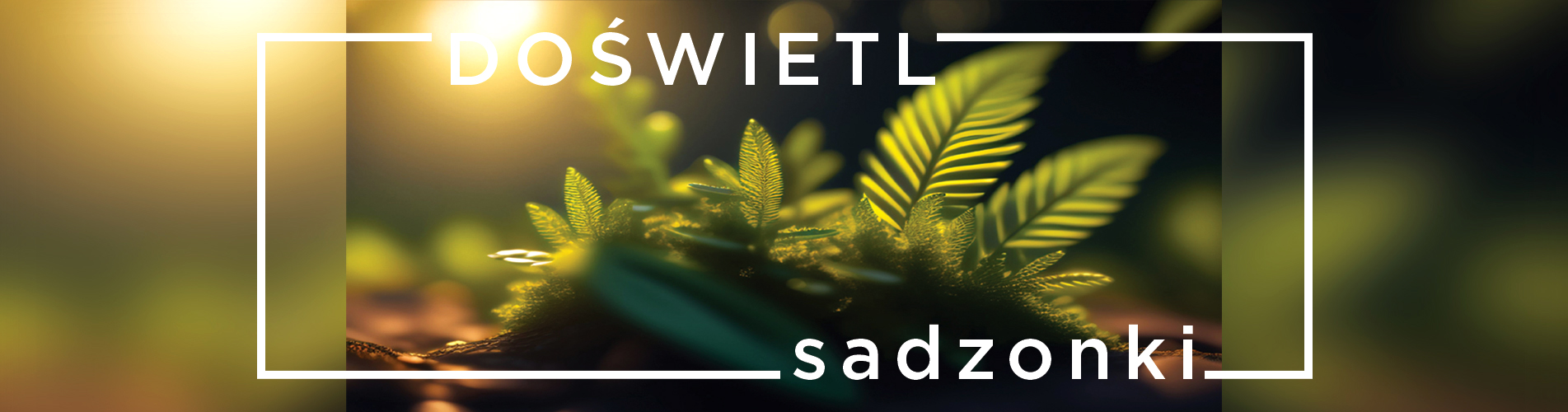 Doświetlanie roslin