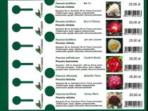 Etykieta pętlowa L1 33 x 250 mm (1500szt.)
