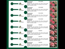 Etykieta pętlowa L1 25 x 210 mm bez końcówki (2000szt.)