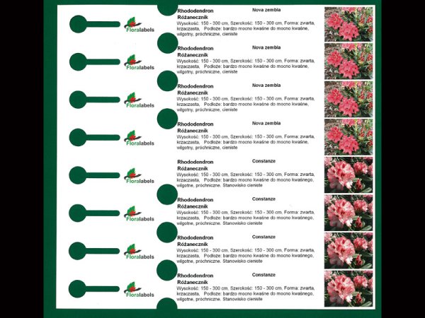 Etykieta pętlowa L1 25 x 210 mm bez końcówki (2000szt.)