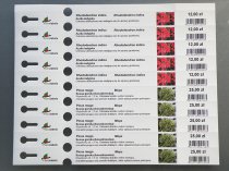 Etykieta pętlowa L1 19 x 250 mm (2500szt.)