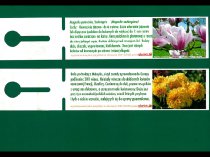 Etykieta pętlowa L2 50 x 250 mm (1000szt.)