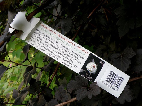 Etykieta pętlowa L2 38 x 250 mm bez końcówki (1250szt.)