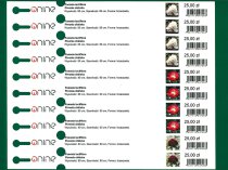 Etykieta pętlowa L2 20 x 250 mm (2500szt.)