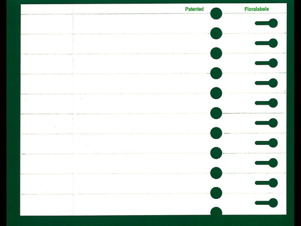 Etykieta pętlowa L2 19 x 250 mm (2500szt.)