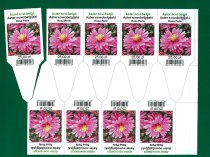 Etykieta wtykana L1 52 x 135 mm (2500szt.) połysk