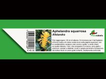 Etykieta wtykana L1 40 x 170 mm (1250szt.)