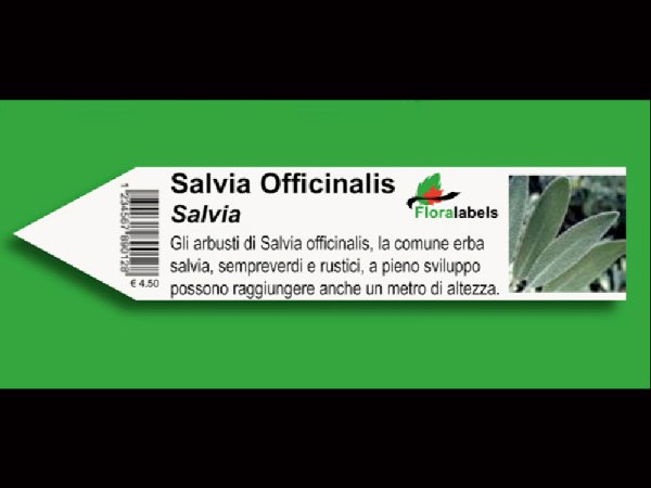 Etykieta wtykana L1 25 x 115 mm (2000szt.)