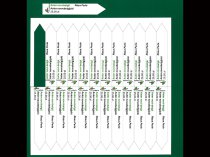 Etykieta wtykana L1 17 x 97 mm (6000szt.)