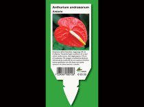 Etykieta wtykana L2 66 x 167 mm click (750szt.)