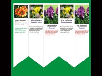 Etykieta wtykana L2 40 x 170 mm (1250szt.)