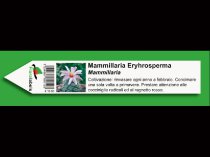 Etykieta wtykana L2 27 x 160 mm (1750szt.)