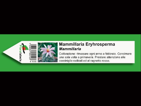 Etykieta wtykana L2 27 x 160 mm (1750szt.)