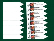 Etykieta wtykana L2 25 x 115 mm (2000szt.)