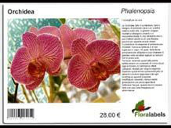 Etykieta samoprzylepna 199,6 x 143,5 mm, A5 (500 szt.)