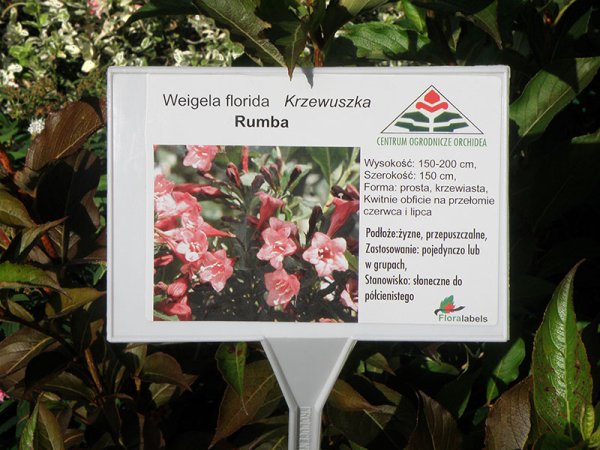 Etykieta samoprzylepna 99,1 x 139 mm, A6 (1000 szt.)