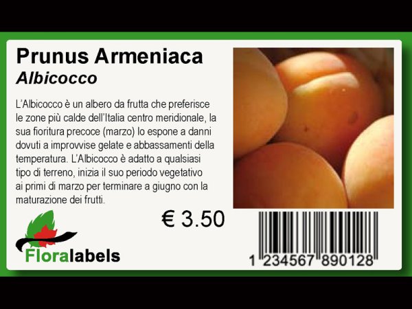 Etykieta samoprzylepna 99,1 x 67,7 mm (2000 szt.)