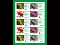 Etykieta samoprzylepna 97,5 x 57 mm (2500szt.)