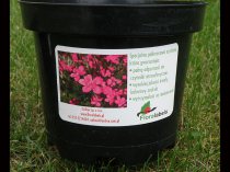 Etykieta samoprzylepna 97,5 x 57 mm (2500szt.)