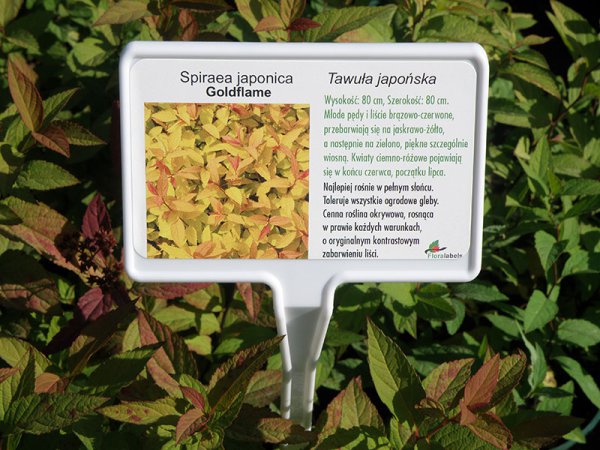 Etykieta samoprzylepna 97,5 x 57 mm (2500szt.)