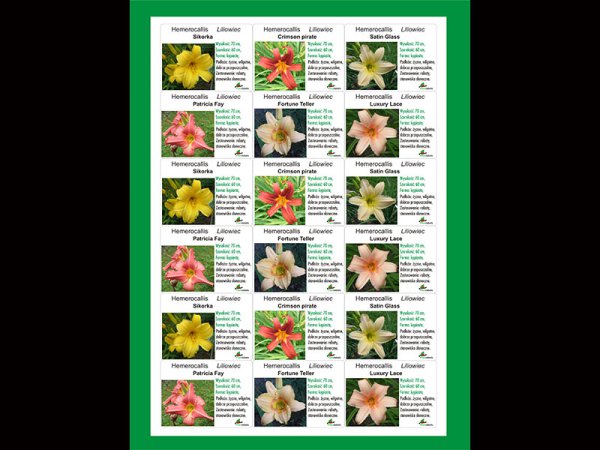 Etykieta samoprzylepna 65 x 47,5 mm (4500 szt.)