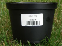 Etykieta samoprzylepna 39 x 21,5 mm (16250 szt.)