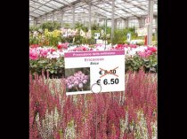 Etykieta prezentacyjna L1 A6 105 x 148 mm (4)