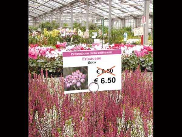 Etykieta prezentacyjna L1 A6 105 x 148 mm (4)