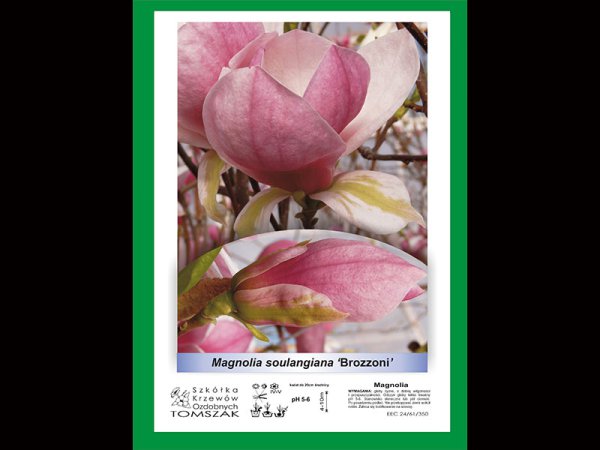 Etykieta prezentacyjna L1 A4 210 x 297 mm