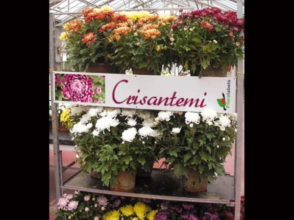 Baner prezentacyjny L1 200 x 1200 mm, dwustronny