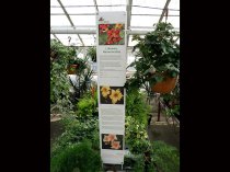 Baner prezentacyjny L1 200 x 1200 mm, samoprzylepny