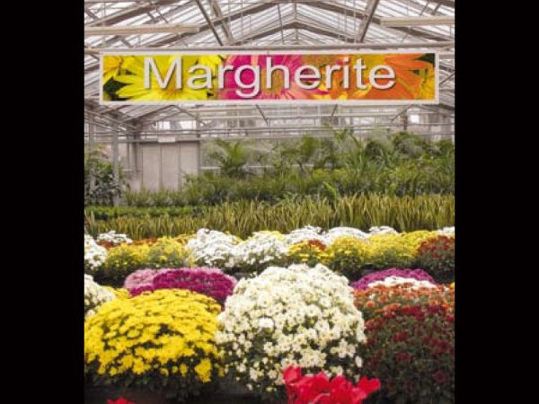 Etykieta prezentacyjna L1 Banner 297 x 1200 mm, dwustronny