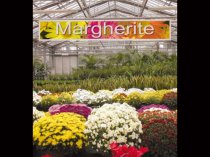 Etykieta prezentacyjna L1 Banner 297 x 1200 mm, samoprzylepny