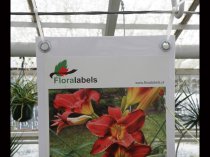 Etykieta prezentacyjna Podkład montażowy do banerów z oczkami 220 x 1270