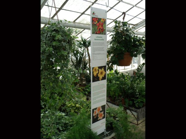 Etykieta prezentacyjna Podkład montażowy do banerów z oczkami 220 x 1270