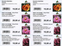 Etykieta prezentacyjna na krawędzie półek 105 x 38 mm (14)