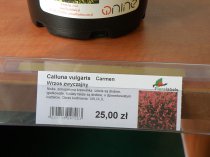 Etykieta prezentacyjna na krawędzie półek 105 x 38 mm (14)