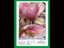 Etykieta prezentacyjna L2-200 A4 210 x 297 mm 250 ark.