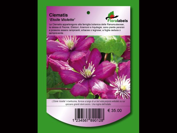 Etykieta wieszana L1 98 x 141 mm (1000szt.)