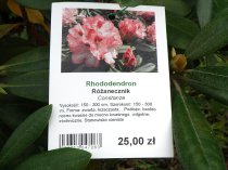 Etykieta wieszana L1 70 x 99 mm (2250szt.)