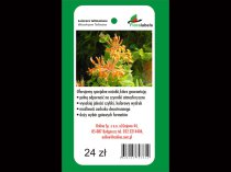 Etykieta wieszana L1 66 x 129 mm (1500szt.)