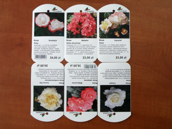 Etykieta wieszana L1 66 x 121 mm (1500szt.)