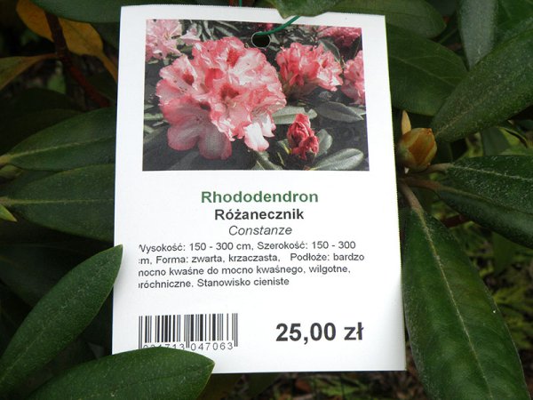 Etykieta wieszana L2 70 x 99 mm (2250szt.)