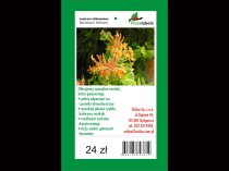 Etykieta wieszana L2 50 x 113 mm (2000szt.)