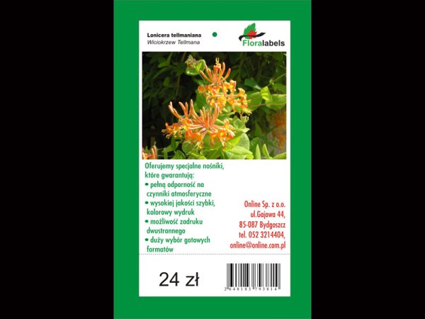 Etykieta wieszana L2 50 x 113 mm (2000szt.)