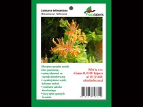 Etykieta wieszana L2-2 100 x 149 mm (1000szt.)