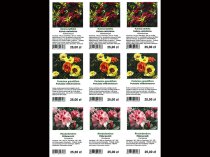 Etykieta wieszana L2 70 x 99 mm (2250szt.)