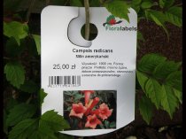 Etykieta wieszana L2 74 x 102 mm samozaw. (4)