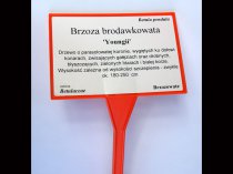 Etykieta samoprzylepna TT 100 x 140 mm rolka 900