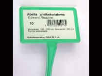 Etykieta samoprzylepna TT 90 x 55 mm - rolka 1000